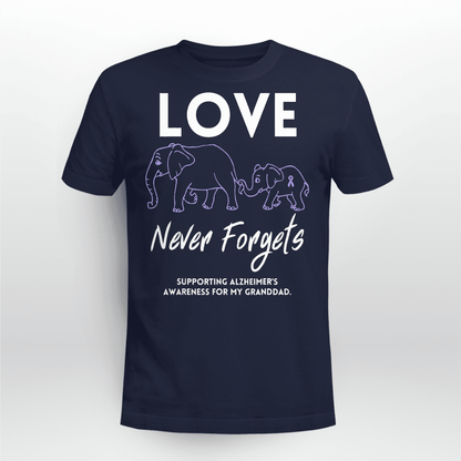 Love Never Forgets 2316 , Alzheimer's Awareness Shirt, Gift For People With Dementia